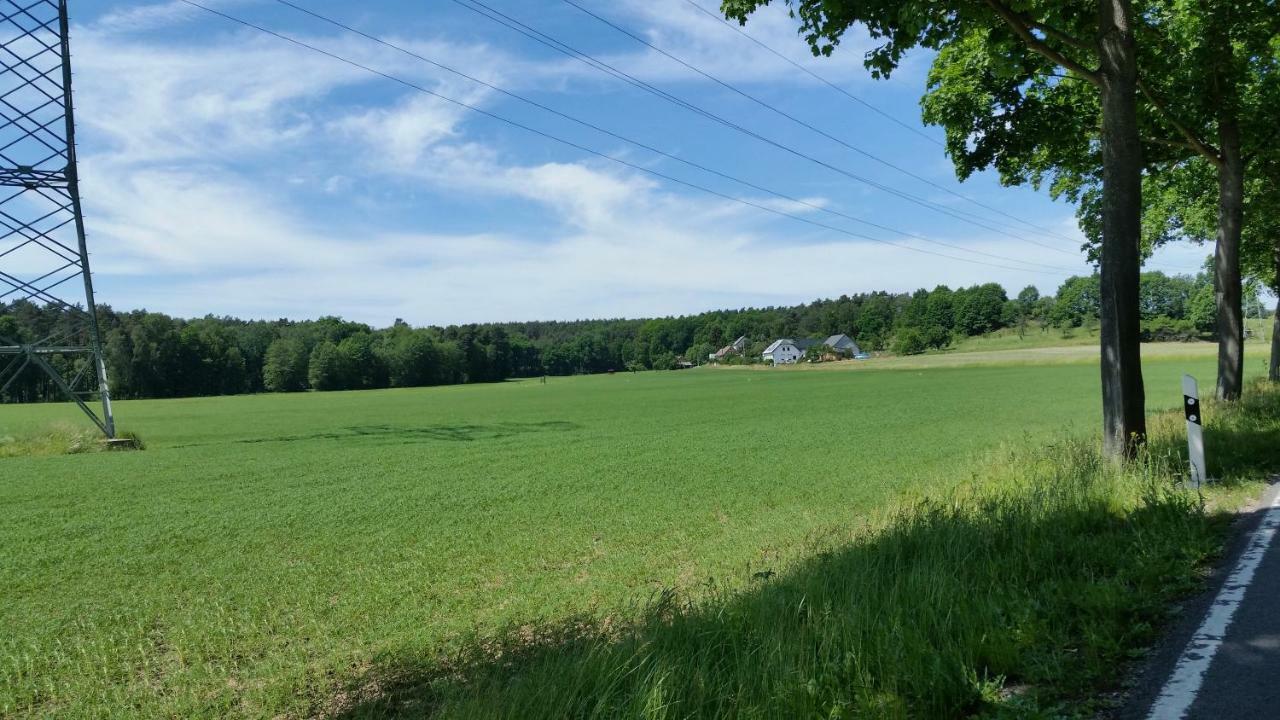Ferienwohnung "Am Weinberg" Bad Schmiedeberg Exterior foto